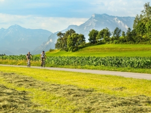 5 heuernte-bei-muntigl-mit-untersberg-im-hintergrund